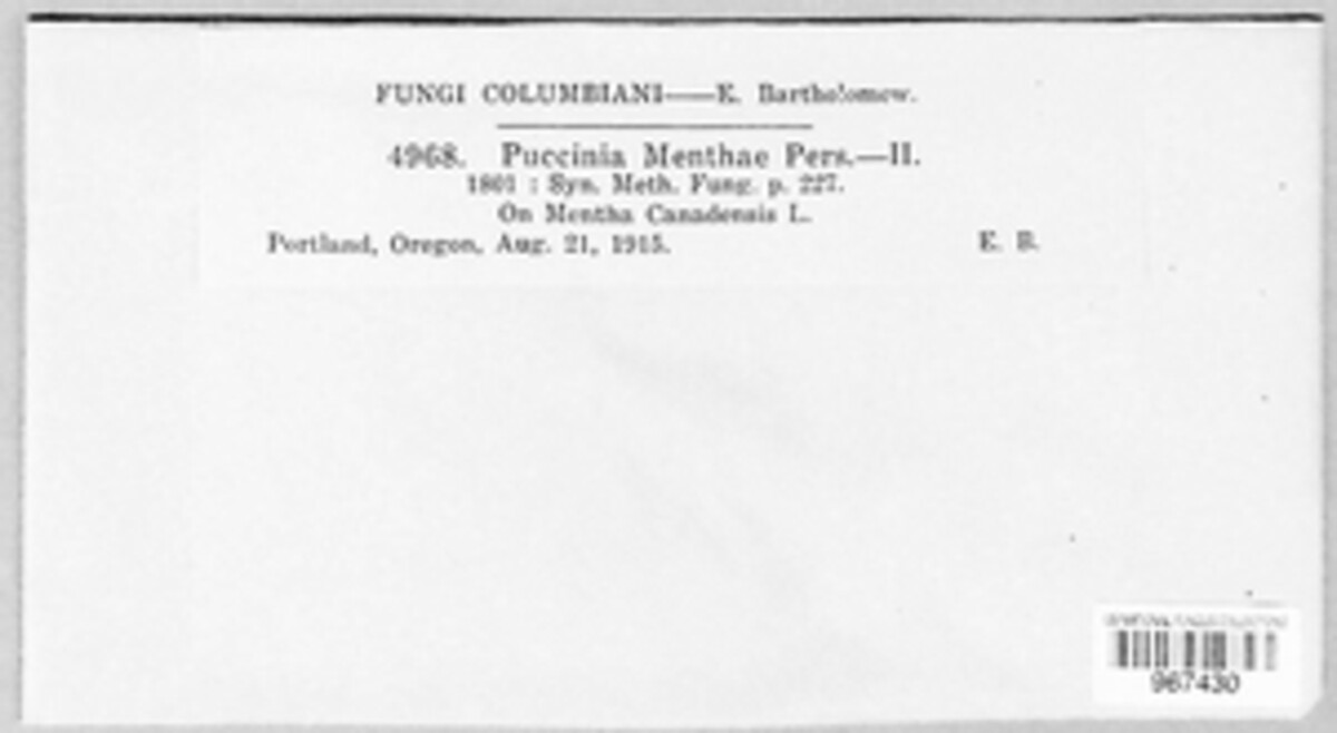 Puccinia menthae image